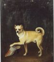 Имя файла=Anon__Pug_Dog_with_Mule__1730.jpg
Размер файла=1100КБ
Размеры=1490x1691
Дата=Июль 21, 2011 Anon__Pug_Dog_with_Mule__1730.jpg