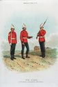 Имя файла=King_s_Regiment_28Liverpool292C_1891.jpg
Размер файла=85КБ
Размеры=800x1198
Дата=Фев 06, 2011 King_s_Regiment_28Liverpool292C_1891.jpg