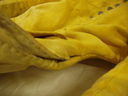 P3150021.JPG